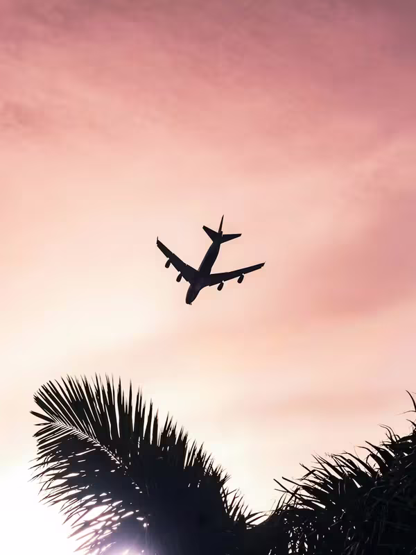 Plane flying over palm trees toward Phuket at sunset